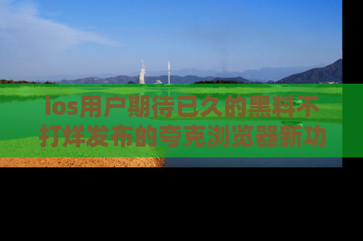 ios用户期待已久的黑料不打烊发布的夸克浏览器新功能上线啦!