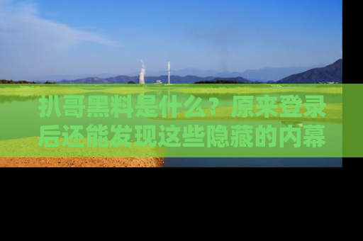 扒哥黑料是什么?原来登录后还能发现这些隐藏的内幕!