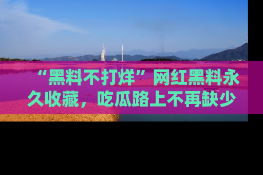 “黑料不打烊”网红黑料永久收藏，吃瓜路上不再缺少惊喜与乐趣