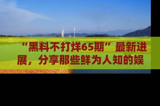 “黑料不打烊65期”最新进展，分享那些鲜为人知的娱乐八卦
