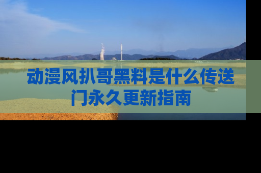 动漫风扒哥黑料是什么传送门永久更新指南