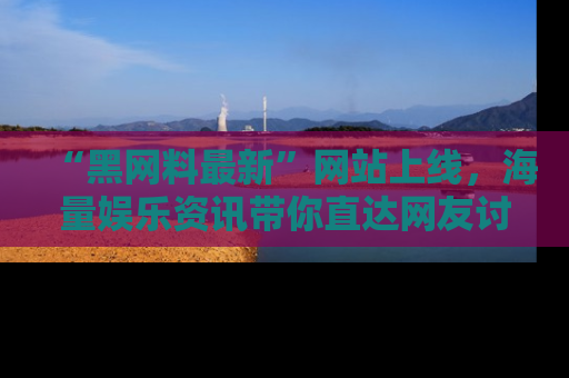 “黑网料最新”网站上线，海量娱乐资讯带你直达网友讨论的中心！
