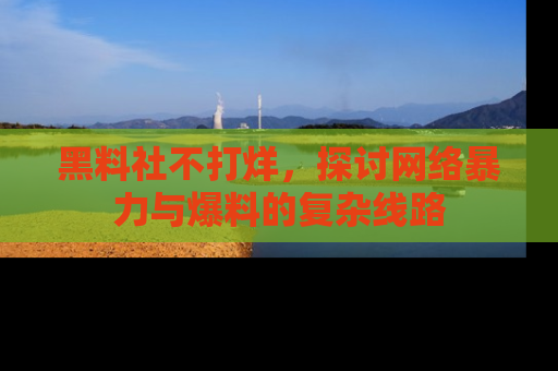 黑料社不打烊，探讨网络暴力与爆料的复杂线路