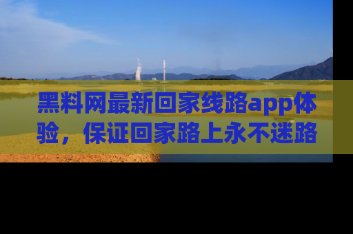 黑料网最新回家线路app体验，保证回家路上永不迷路顺畅