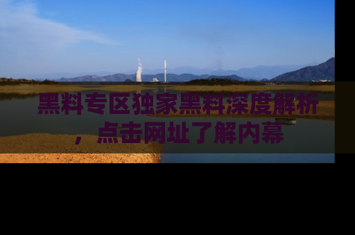 黑料专区独家黑料深度解析，点击网址了解内幕