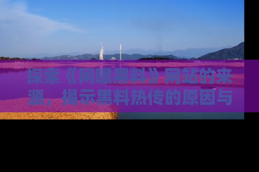 探索《网曝黑料》网站的来源,揭示黑料热传的原因与影响