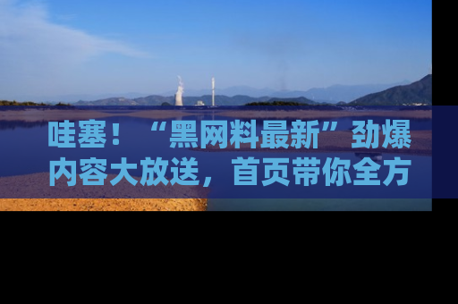 哇塞!“黑网料最新”劲爆内容大放送,首页带你全方位了解哦,小可爱们