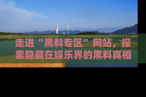 走进“黑料专区”网站，探索隐藏在娱乐界的黑料真相